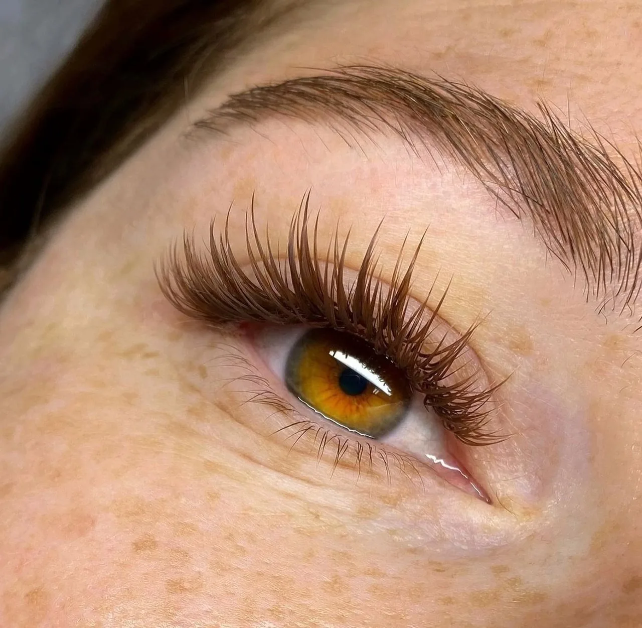 Auge mit dichten, natürlichen Wimpernextensions